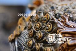 Bình hút lộc công đào đắp nổi