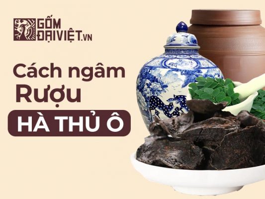 Cách ngâm rượu hà thủ ô thơm ngon
