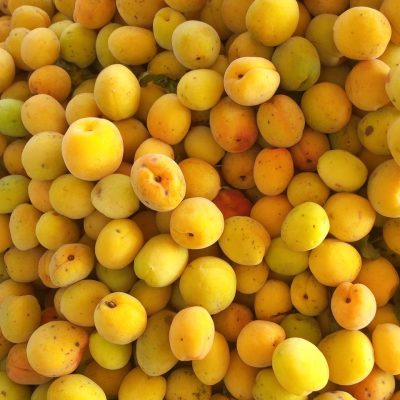 Mơ tươi ngâm rượu
