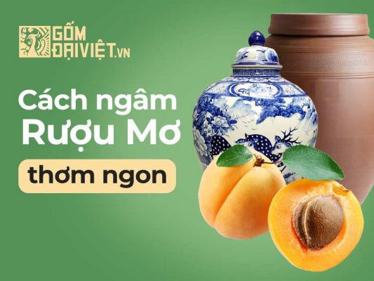 Cách ngâm rượu mơ thơm ngon tại nhà