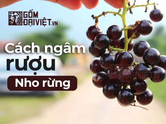 Cách ngâm rượu nho rừng tại nhà