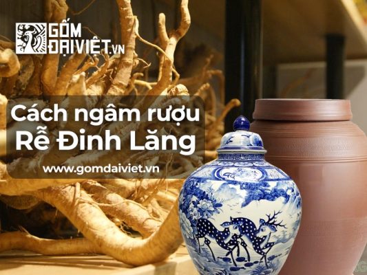 Cách ngâm rượu rễ cây đinh lăng tươi