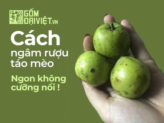 Cách ngâm rượu Táo mèo tươi, khô với rượu ngon nhất