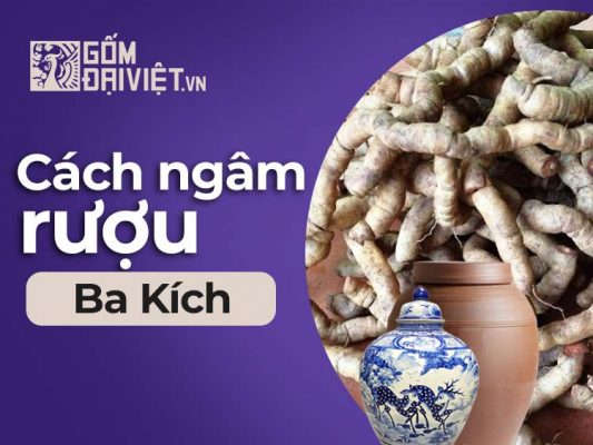 Cách ngâm rượu ba kích tươi ngon tại nhà