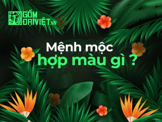 Mệnh mộc hợp với màu gì ?