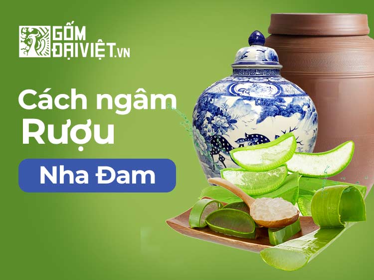 Cách làm nha đam ngâm rượu dưỡng da làm đẹp