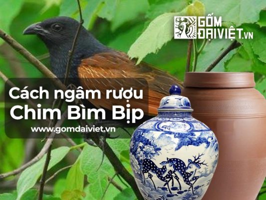Cách ngâm rượu bìm bịp như thế nào ?