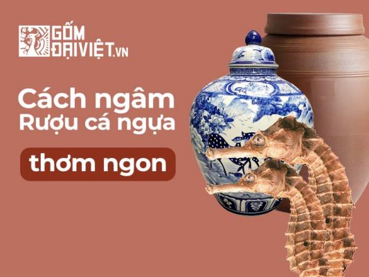 Cách ngâm rượu cá ngựa đơn giản tại nhà