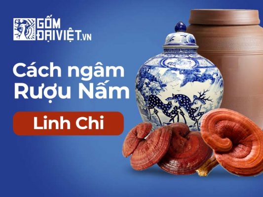 Cách ngâm rượu nấm linh chi bổ dưỡng