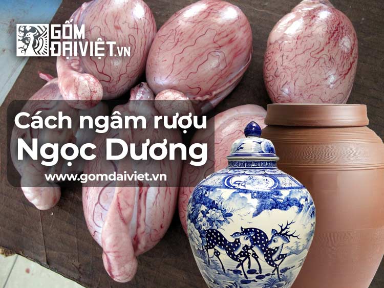Cách ngâm rượu ngọc dương dê