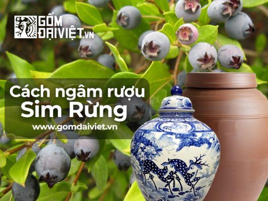 Cách ngâm rượu sim rừng & công dụng của rượu sim