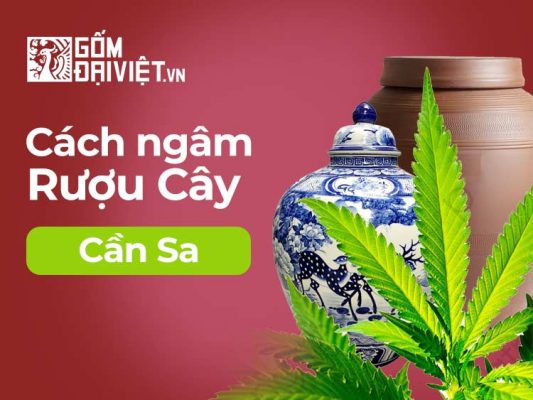 Cây cần sa ngâm rượu như thế nào ?