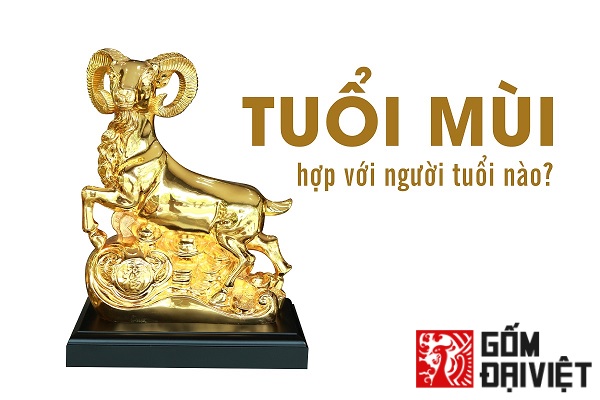 Tuoi Mui Hop Voi Tuoi Nao